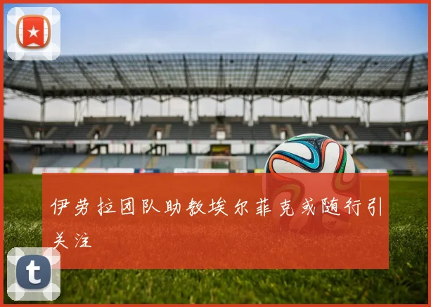 伊劳拉团队助教埃尔菲克或随行引关注
