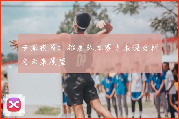 专家视角：雄鹿队本赛季表现分析与未来展望